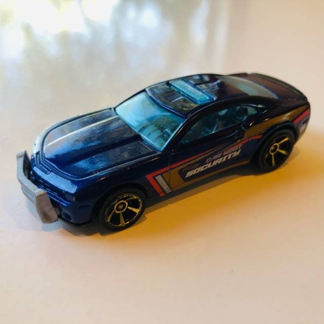 HL Blue Car Meet Security T9579