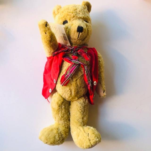 Teddy Bear - Jane Hissey’s Old Bear ( PAM)