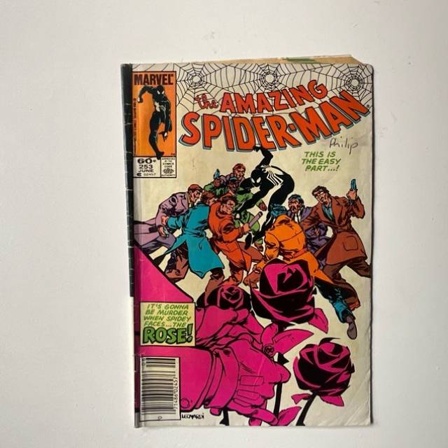 The Amazing Spider Man Vol 1 No 253 (PAM)