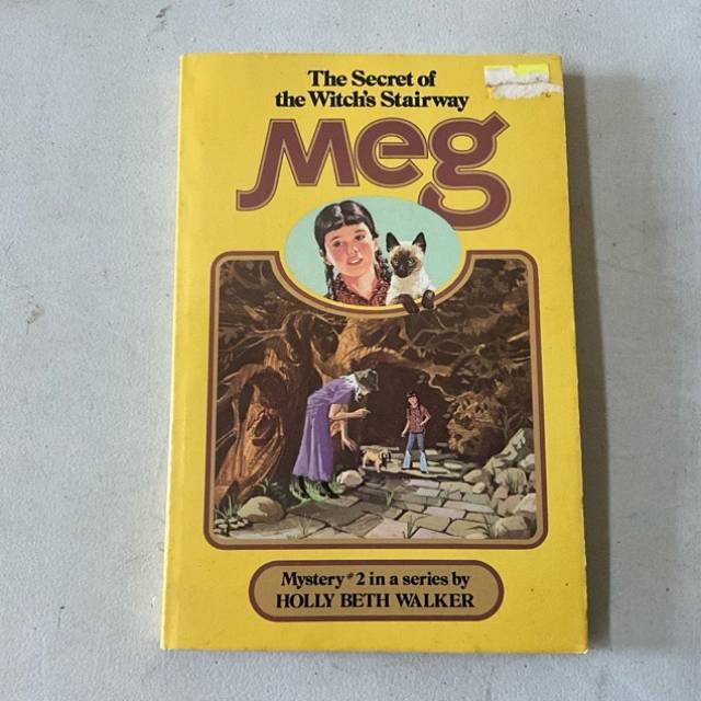 The Secret of the Witch’s Stairway MEG Mys...
