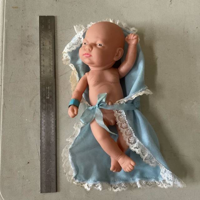All Vinyl NEW BORN Baby BOY (Looks feels lik...