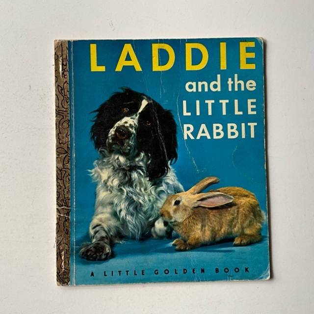 Golden Book - LADDIE and the LITTLE RABBIT 1...