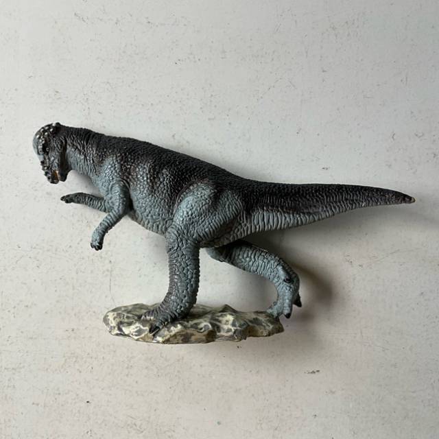The Carnegie Collection Pachycephalosaurus d...