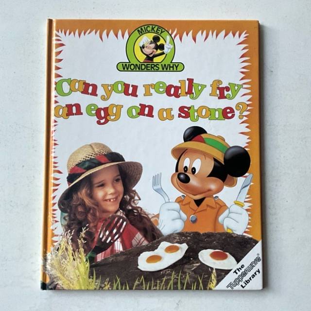 MICKEY WONDERS WHY - Can you really fry an e...