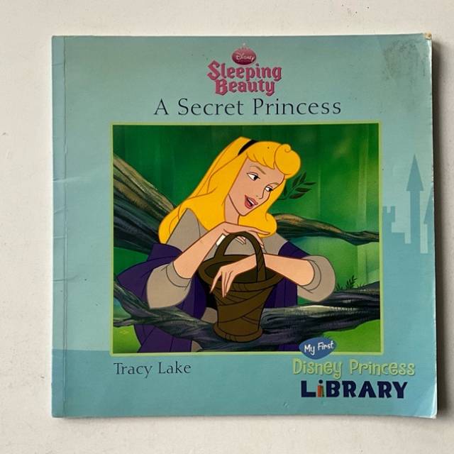 Disney - Sleeping Beauty - A Secret Princess...
