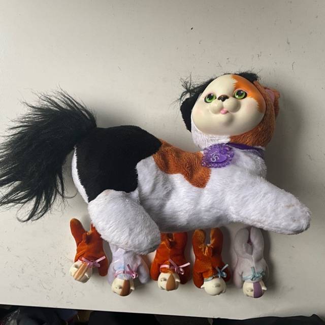 Kitty Surprise 2016 (5x Babies)