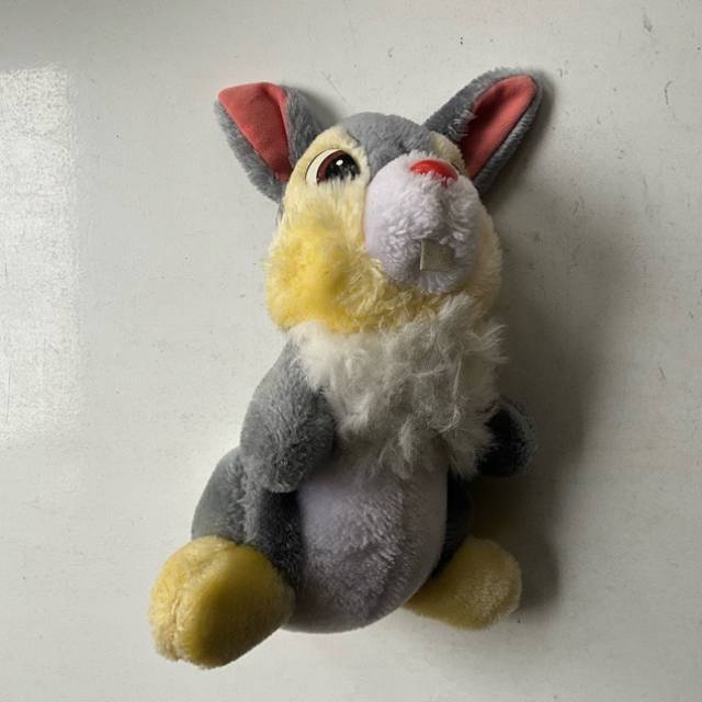 1980s Disneyland Walt Disney World Thumper R...